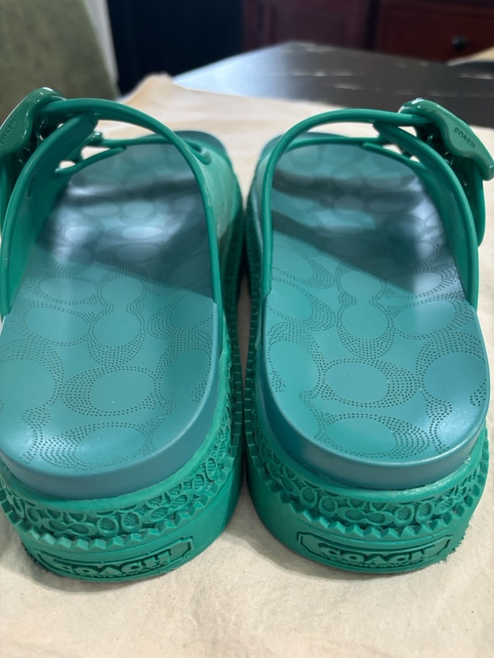 Coach Teal Green Double-Buckle Kids Slide Sandals - Picture 4 of 7